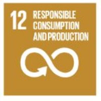 12 - Responsible consumption and production