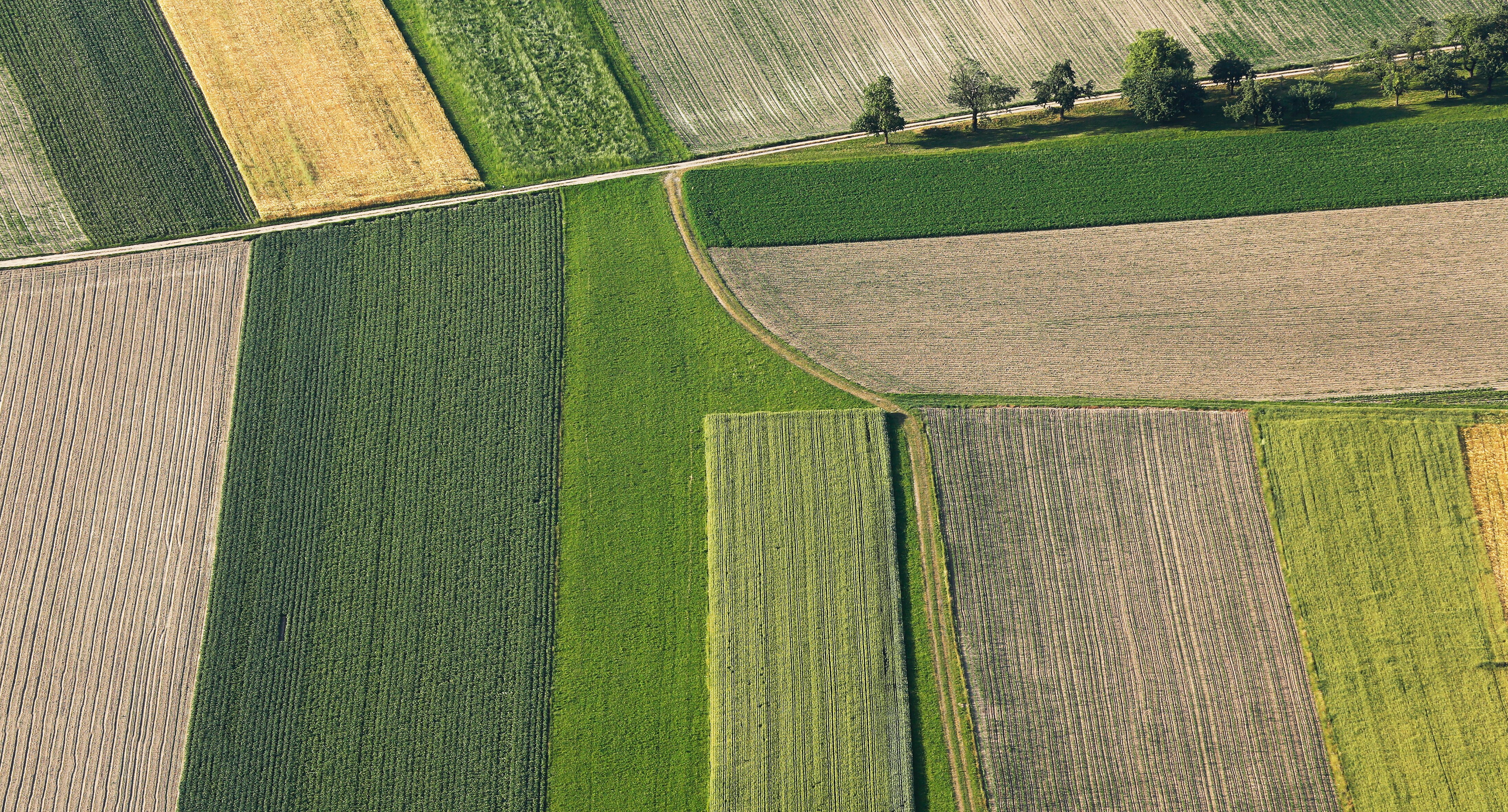 Verkoop van uw <span>groene ingrediënten</span>